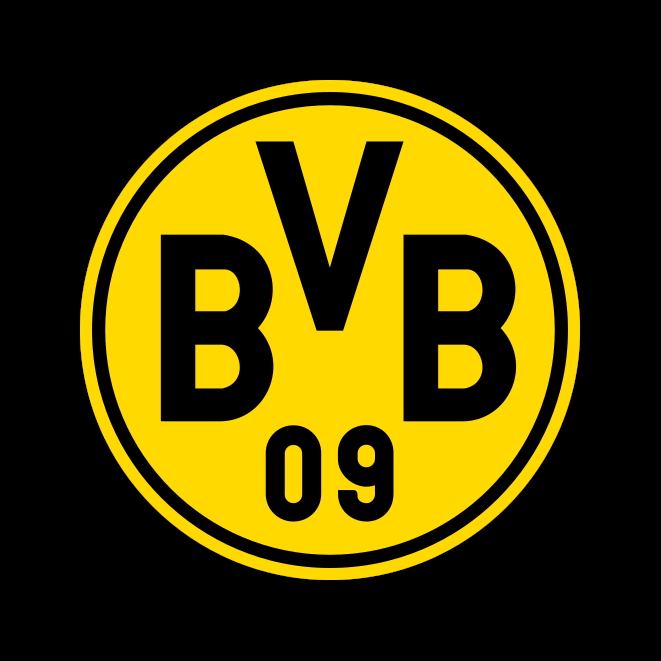 Borussia Dortmund GmbH  &Co .KGaA (BVB)