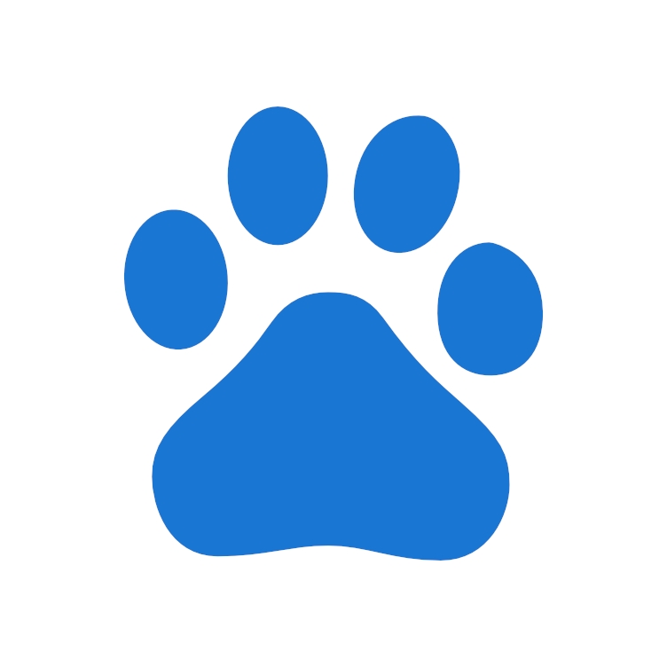 Baidu Inc. Spon. ADR