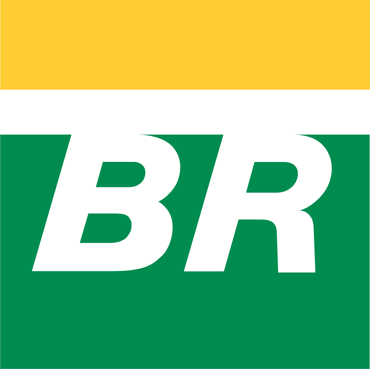 PETROLEO BRASILEIRO SA 