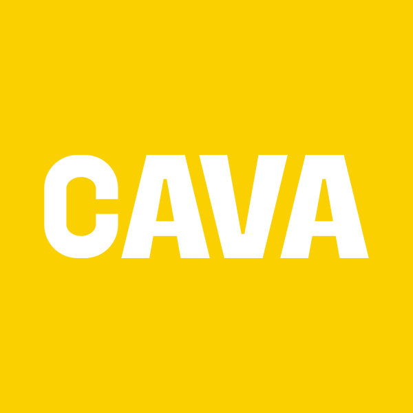 CAVA GROUP INC
